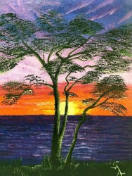Tree-at-sunset