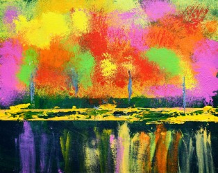 62-16x20